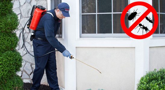Abana Pire İlaçlama böcek ilaçlama ve haşere kontrolü — ilaclama-tr.com